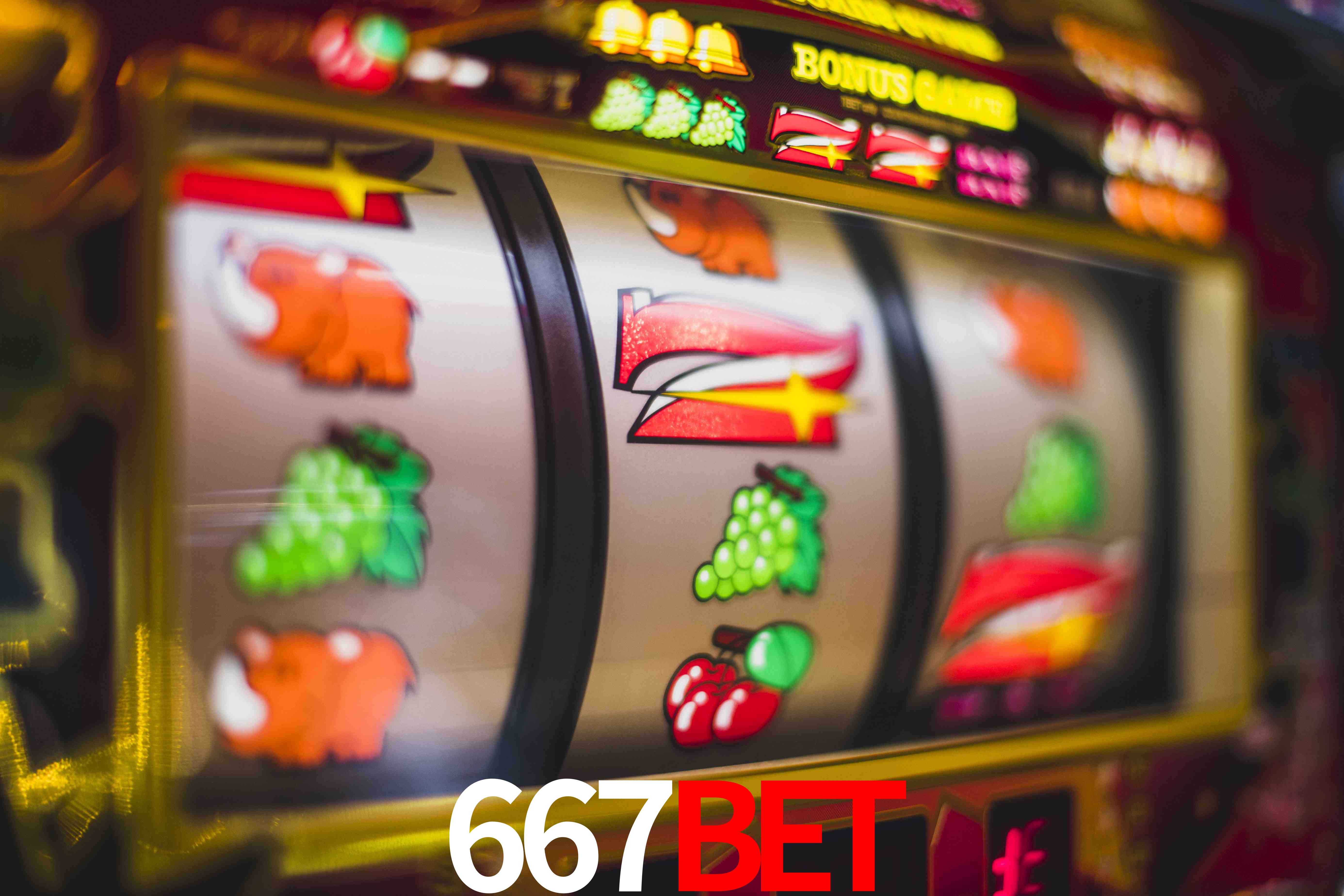 Secure Login 667BET